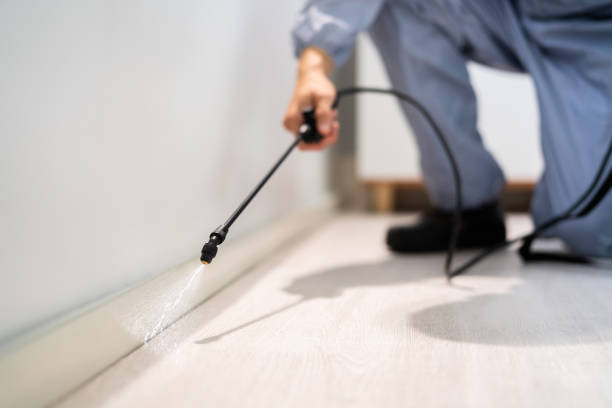 Licensed Ant Control service in Bawcomville, LA - Show Me Pest Control