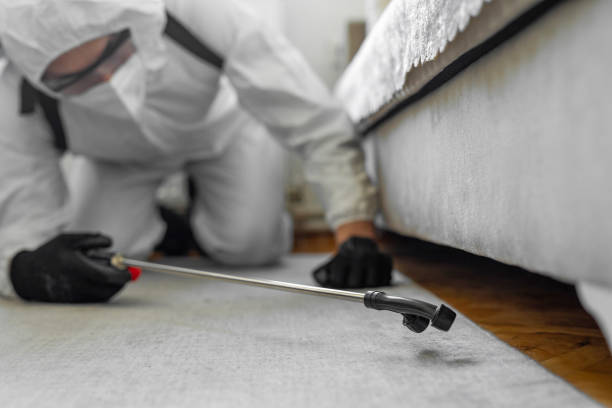 Professional Ant Control technician working in Bawcomville, LA