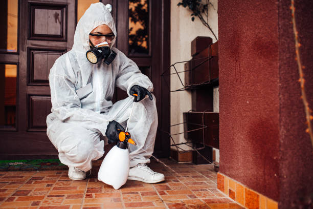 Reliable Ant Control contractor in Bawcomville, LA by Show Me Pest Control